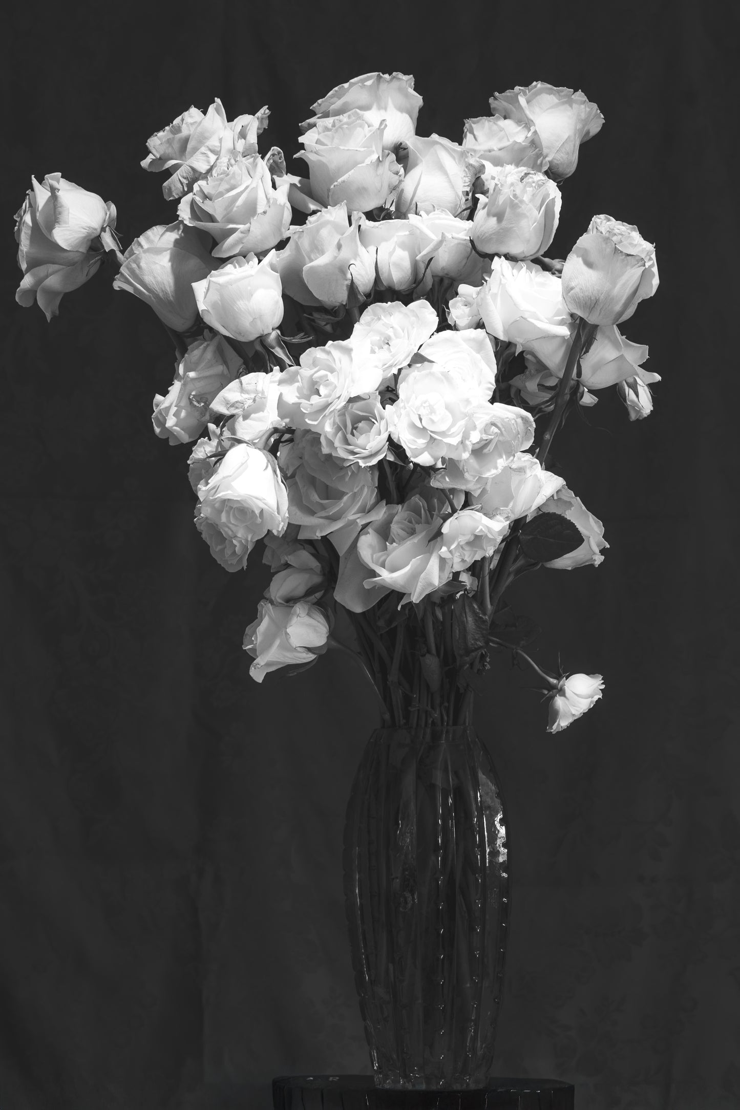 White Roses in Glass Vase