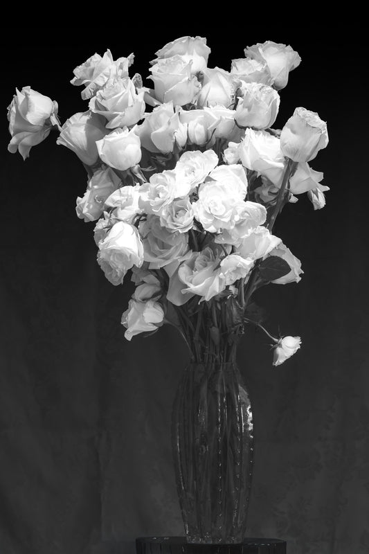 White Roses in Glass Vase